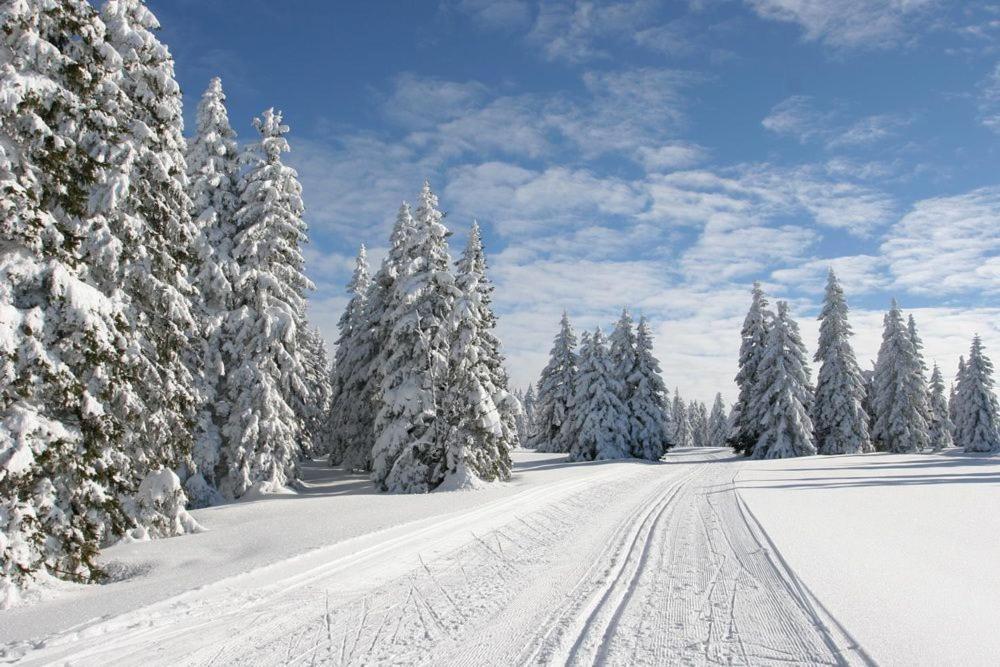 Apartman Na Svahu, Krkonose Zacler Luaran gambar